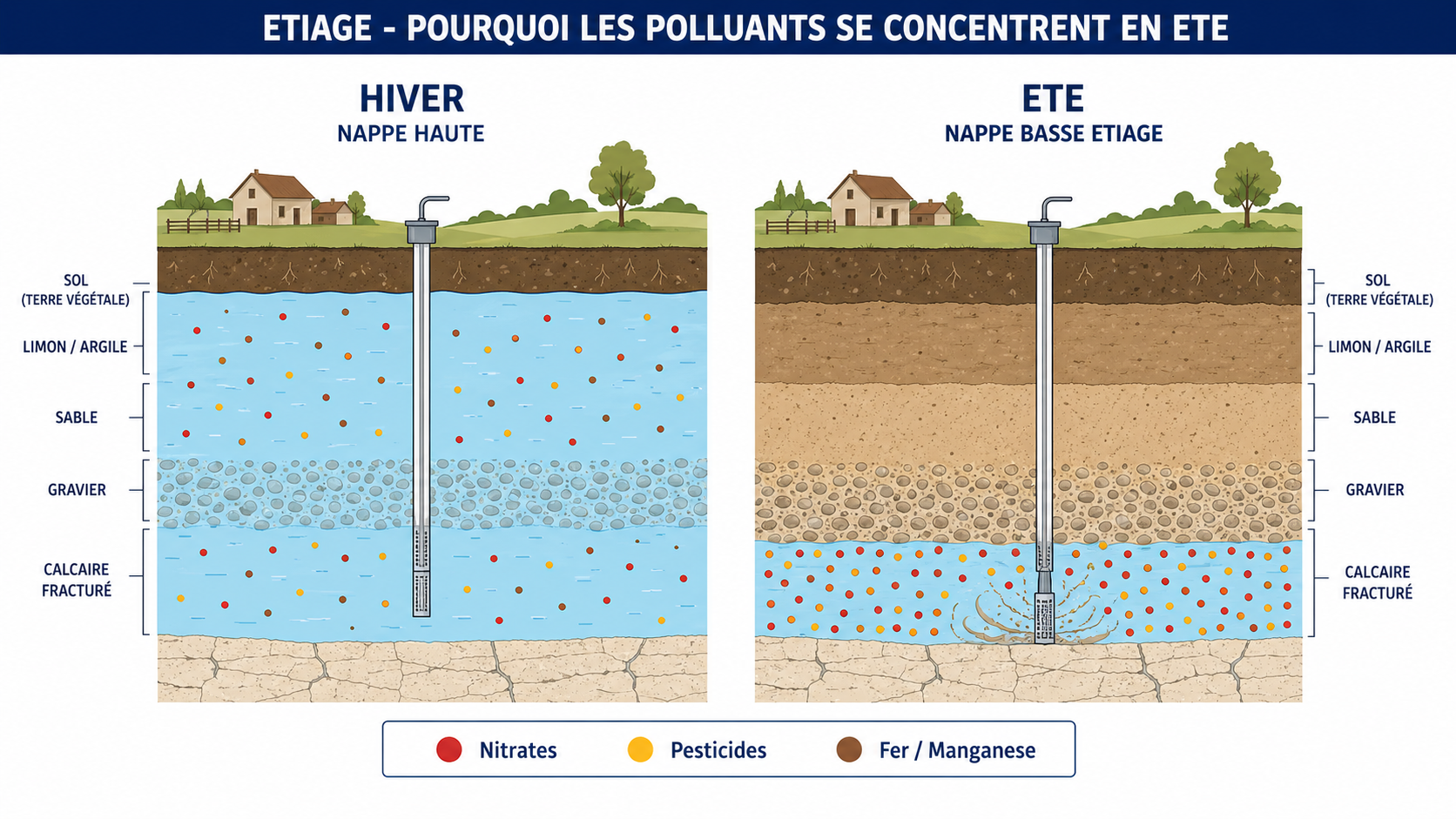 Infographie comparative en coupe du sol : nappe haute en hiver (polluants dilués) vs nappe basse en été — étiage avec polluants concentrés